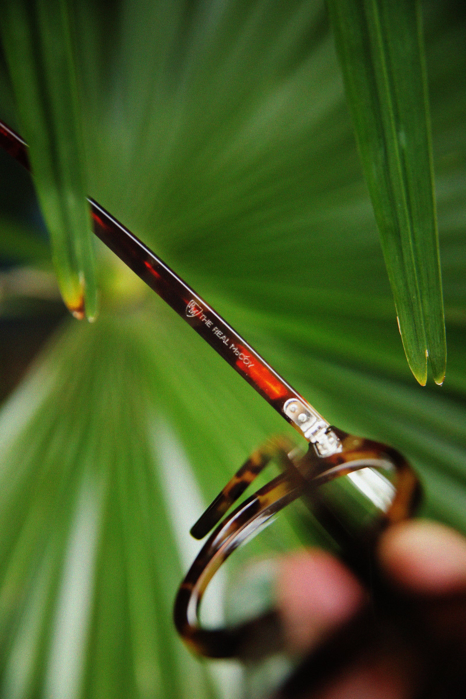 ROUND GLASSES / ANDRÉ Gallery Image 5