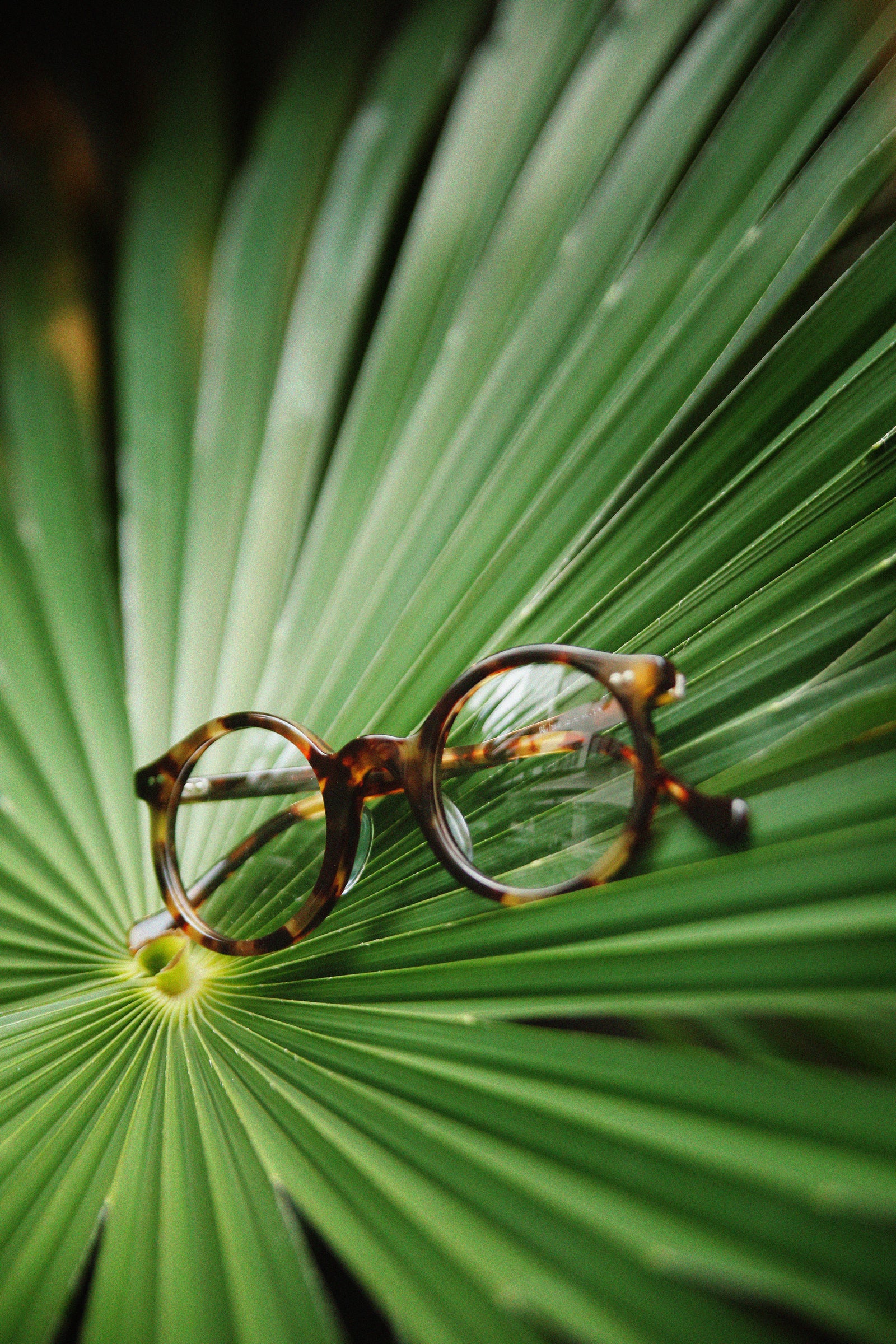 ROUND GLASSES / ANDRÉ Gallery Image