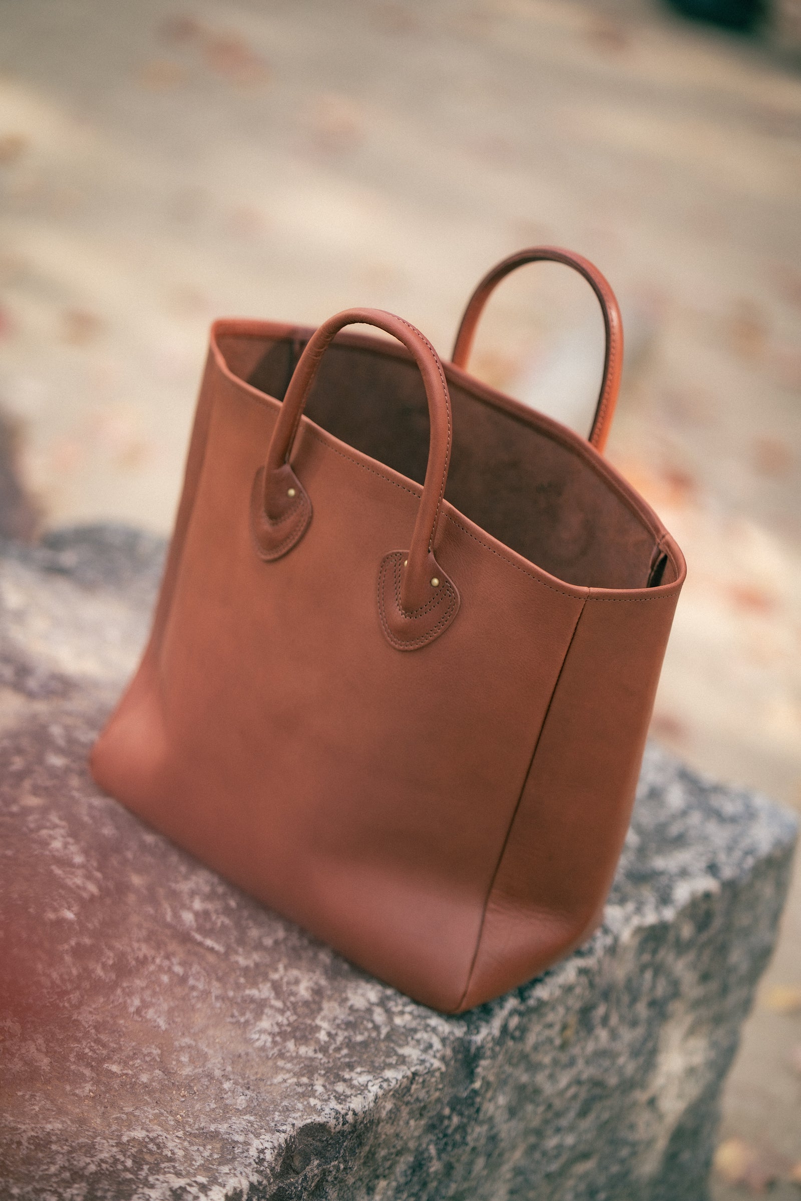 LEATHER TOTE HANDBAG Gallery Image 1
