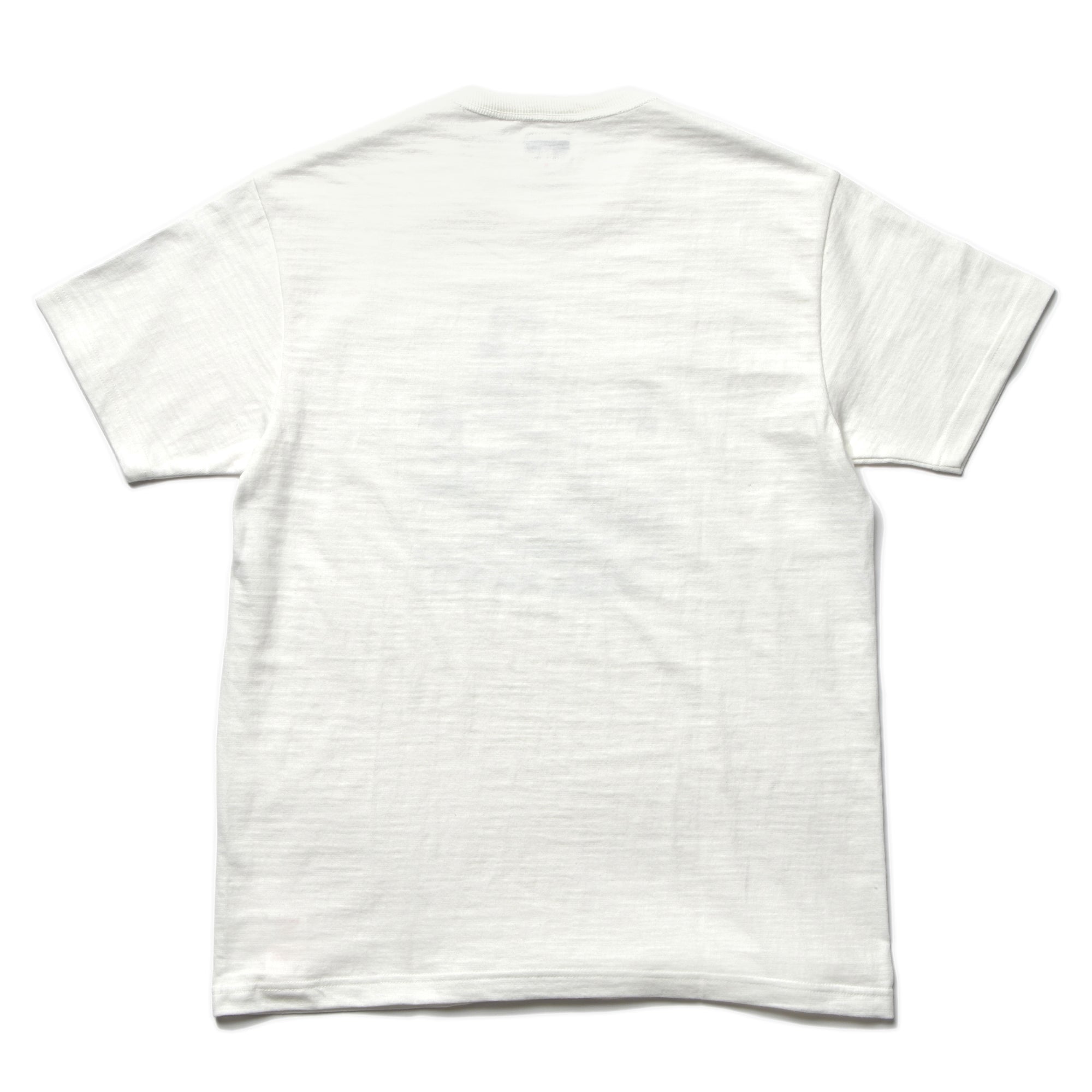 AMERICAN ATHLETIC TEE / ALOHA, HAWAII