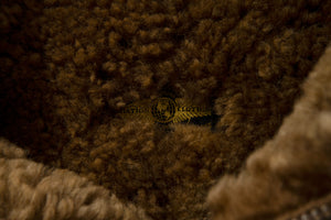 R.A.F. IRVIN FLIGHT JACKET